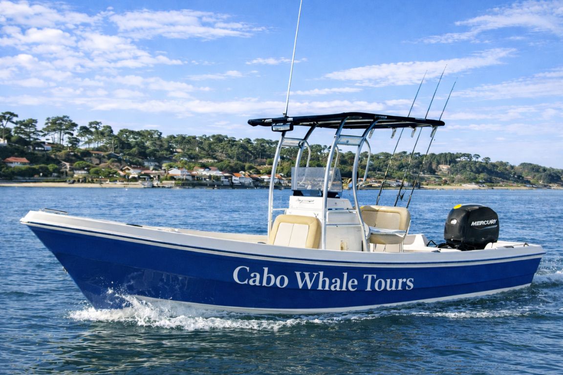 Private panga boat used for whale watching in Cabo San Lucas.