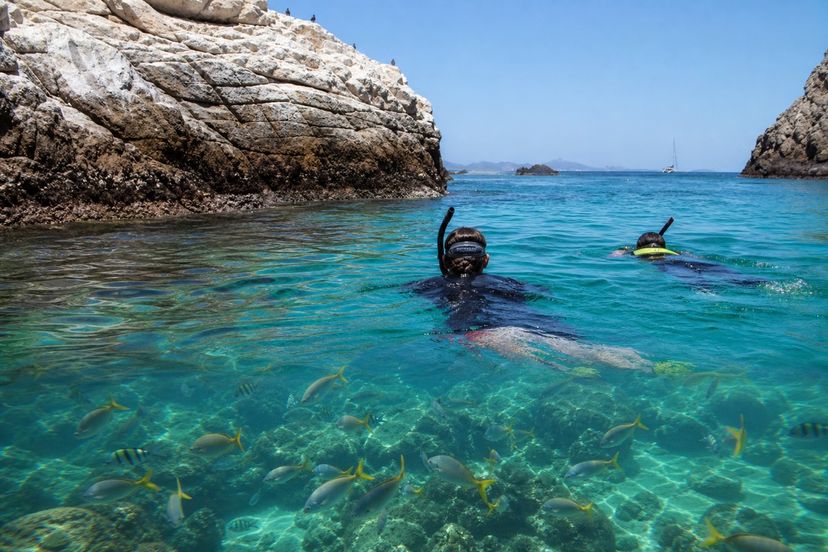Snorkelling the reef fish around Pelican Rock, Cabo San Lucas