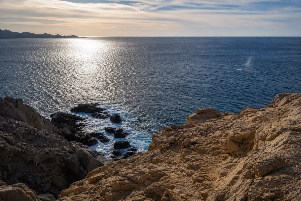 Distant humpback whale blow seen from a clifftop viewpoint above the Pacific shoreline at Cabo San Lucas