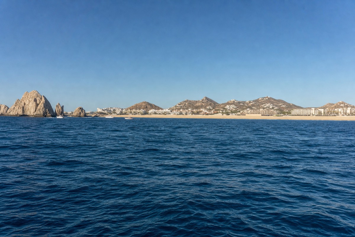 Whale watching off Cabo San Lucas